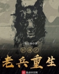 抗战之老兵重生 小说