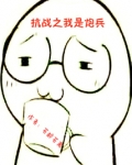 抗战之我是炮兵全文免费阅读
