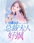 豪门甜婚：总裁夫人好飒