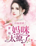 妈咪 我替爹地来征婚