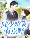 双面娇妻有点野男主真名叫什么