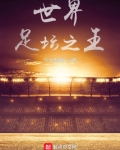 世界足坛之王下载