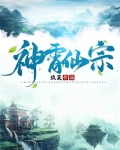 神霄仙宗 小说