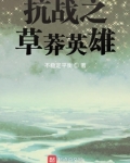 抗战之草莽英雄钱小宝