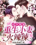 司少枭宠：重生小妻火辣辣