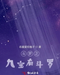 斗罗之九宝斗罗作者:啊涵涵