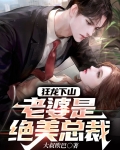 狂龙下山:老婆是绝美总裁小说