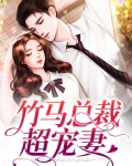 竹马总裁超宠妻百度云