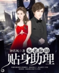 女老板的贴身助理