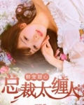 总裁新宠
