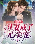 离婚后,丑妻成了心尖宠
