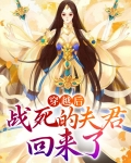 战死的夫君回来了小说下载