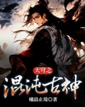 混沌之纵横苍穹