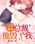订婚前夜，总裁他毁了我