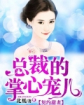 总裁的掌心宠儿免费阅读小说