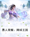 愚人荣耀：网球王国
