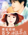 错爱：苍少，离婚吧