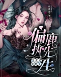 《偏执的陆先生》