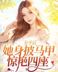 分手后,她身披马甲惊艳四座第18章