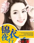 锦衣夜行男主几个老婆