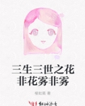 花非花雾非雾54集免费