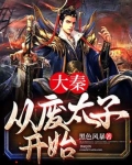 大秦,从废太子开始 小说刘晨