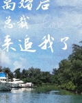 离婚后总裁火葬场了