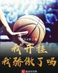 我开挂了小说免费阅读