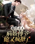 报告夫人，病娇傅爷他又疯批了
