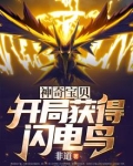 神奇宝贝:开局获得闪电鸟 非道
