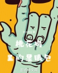 华娱之桃花坞里的显眼包破解免费阅读