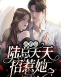 离婚后陆总天天招惹她小说全文