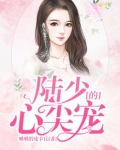 陆少的心尖宠妻
