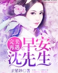 完美再遇：早安，沈先生