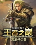 剑道至尊之王者之巅