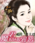 魔君的傻夫在线阅读
