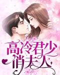 小说高冷君少俏夫人