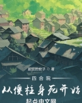 四合院从傻柱身死开始小说听书