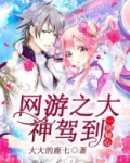 网游:大神驾到 小说