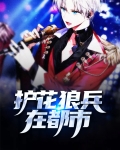 护花兵王免费阅读