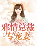 邪情总裁专宠妻