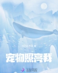 宠物照亮我