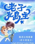 老子是岛主 小说