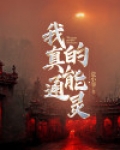 我只会通灵术 小说