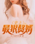 史上最狠赘婿 小说