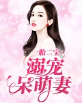 一胎二宝：溺宠呆萌妻