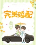 完美婚配番外