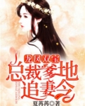 龙凤双宝：总裁爹地追妻令