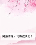网游奇缘：司微成长记！