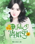 婚途漫漫陆少求放过免费阅读